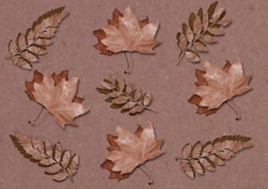 Are Dry Leaf Arts Good