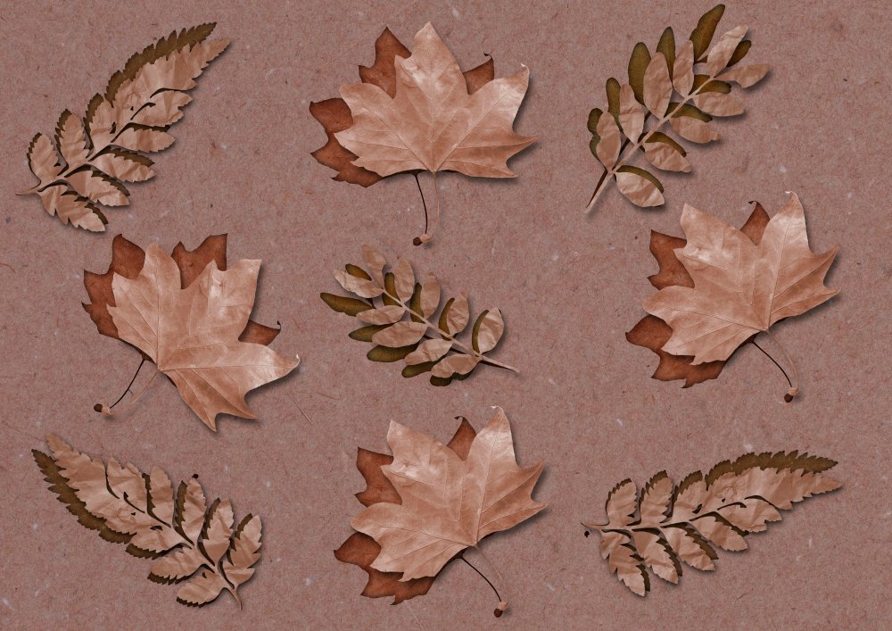 Are Dry Leaf Arts Good?